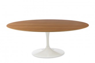1020x700px 8 Charming Oval Tulip Dining Table Picture in Furniture