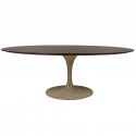 Oval Dining Table , 8 Fabulous Saarinen Oval Dining Table In Furniture Category