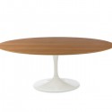 Saarinen Tulip Dining Table , 8 Fabulous Saarinen Oval Dining Table In Furniture Category