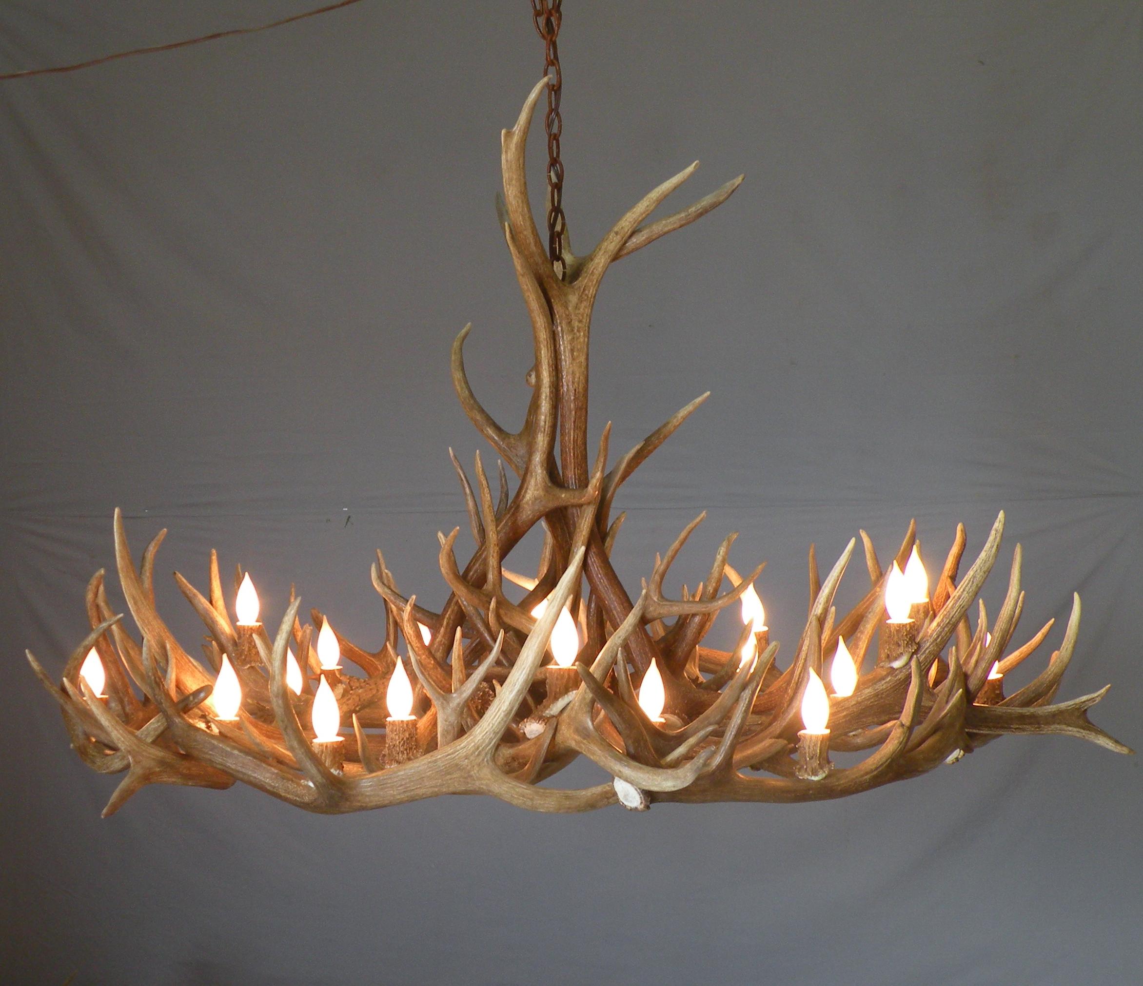 2344x2023px 7 Amazing Antler Chandelier Picture in Lightning