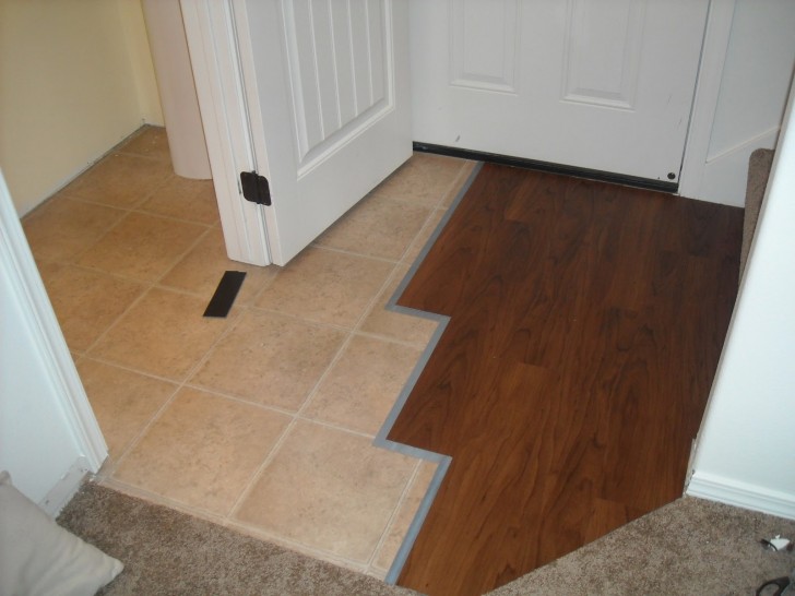 Others , 6 Top Allure Plank Flooring : Entry Way