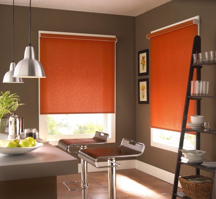 Others , 7 Fabulous Room Darkening Roller Shades : Room Darkening Roller Shades