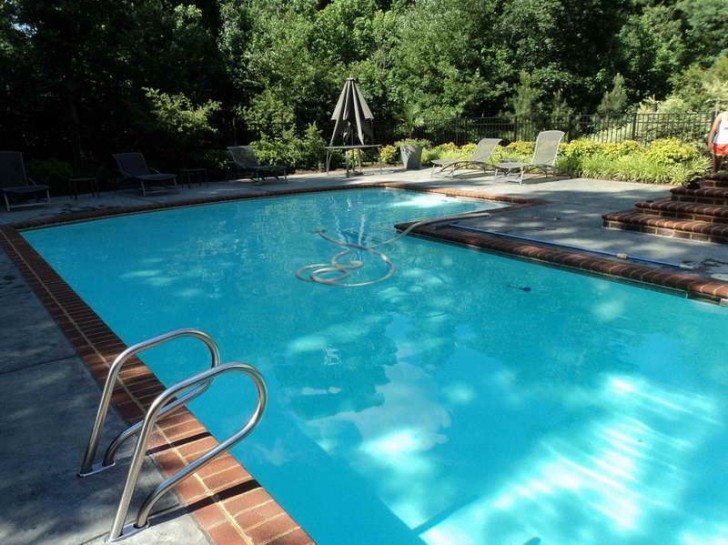 Others , 8 Perfect Small inground swimming pools : Small Inground Swimming Pool With Nice View
