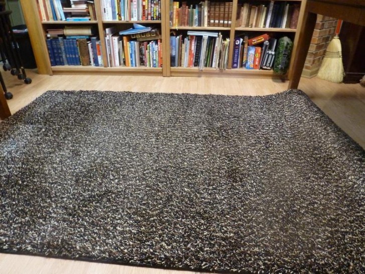 Others , 6 Stunning Carpet Squares Home Depot :  Laminate Flooring
