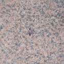 Others , 7 Gorgeous Flamed granite : Flamed Granite Tiles