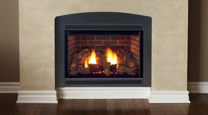 Others , 7 Fabulous Direct vent gas fireplace : Manchester Direct Vent Gas Fireplace