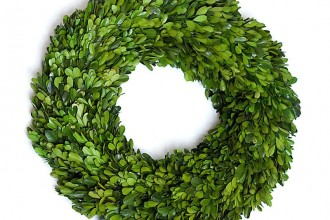800x800px 7 Nice Boxwood Wreath Picture in Others