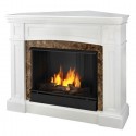 Others , 7 Fabulous Ventless fireplace : Real Flame Bentley Ventless Gel Fireplace