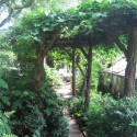Others , 6 Awesome  Grape arbor : This grape arbor