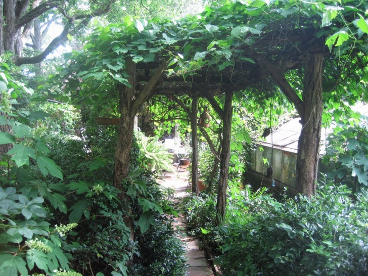 Others , 6 Awesome  Grape arbor : This Grape Arbor