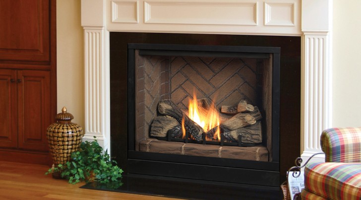 Others , 7 Fabulous Direct vent gas fireplace : Series Direct Vent Gas Fireplace