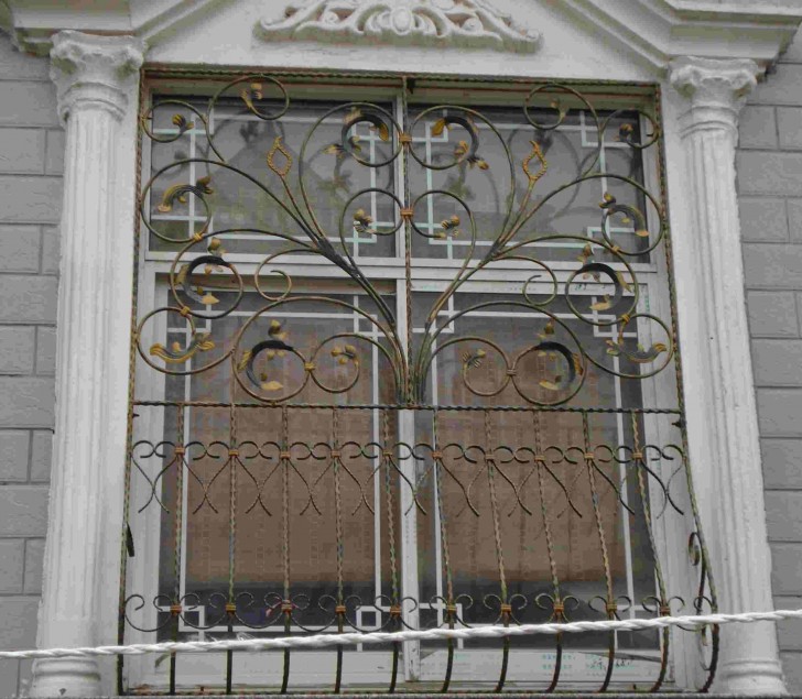 Others , 7 Cool Wrought iron window guards :  Wrought Iron Door