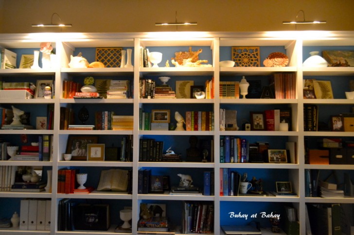 Furniture , 11 Superb Book shelf lighting : Picture Lighting From Menards