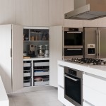 Kitchen , Lovely  Modern Kitchen Storage Options Image Ideas : Beautiful  Modern Kitchen Storage Options Photo Ideas