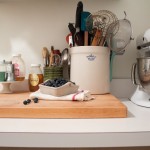 Kitchen , Charming  Traditional Hoshizaki Countertop Ice Maker Ideas : Breathtaking  Eclectic Hoshizaki Countertop Ice Maker Image Inspiration