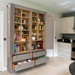 Kitchen , Gorgeous  Victorian Cabinets Pantry Picture Ideas : Charming  Contemporary Cabinets Pantry Image Inspiration