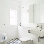 Bathroom , Gorgeous  Traditional Small Black Ants in Bathroom Ideas : Cool  Beach Style Small Black Ants in Bathroom Photo Ideas