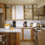 Kitchen , Breathtaking  Contemporary Doors Kitchen Cabinets Photo Ideas : Fabulous  Rustic Doors Kitchen Cabinets Picture