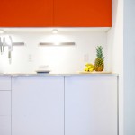 Kitchen , Beautiful  Industrial Custom Ikea Cabinets Photo Ideas : Gorgeous  Contemporary Custom Ikea Cabinets Ideas