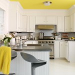 Lovely  Contemporary Giani Paint for Countertops Image , Beautiful  Contemporary Giani Paint For Countertops Ideas In Kitchen Category