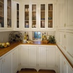 Lovely  Traditional Pantry Kitchen Cabinets Picture Ideas , Wonderful  Transitional Pantry Kitchen Cabinets Inspiration In Kitchen Category