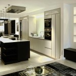 Kitchen , Cool  Contemporary Kitchen Display Shelves Inspiration : Wonderful  Contemporary Kitchen Display Shelves Picture